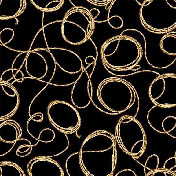 Big_Sky_Country-Lasso_CX11307-BLAC-D_cotton_fabric