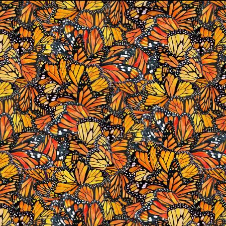 Monarch_Dance_Wings_711E-MULTI_Cotton_Fabric