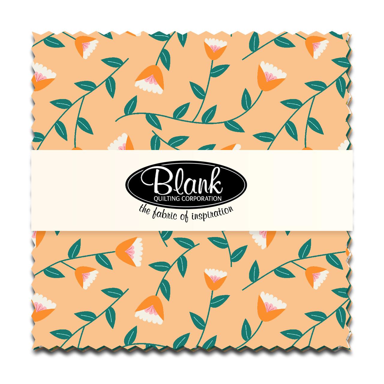 Precut_Charm_Pack-The_Bright_Side_FB6CPBQ_THEBRIGHTSIDE_Precut_Cotton_Fabric